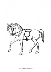 Horse Coloring Pages - Animal Coloring Pages