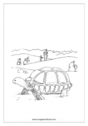 Tortoise Coloring Pages - Animal Coloring Pages