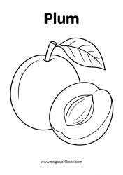 Plum fruit coloring page
