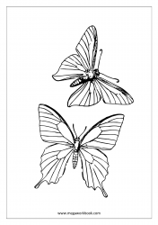 Insect Coloring Pages - Butterflies