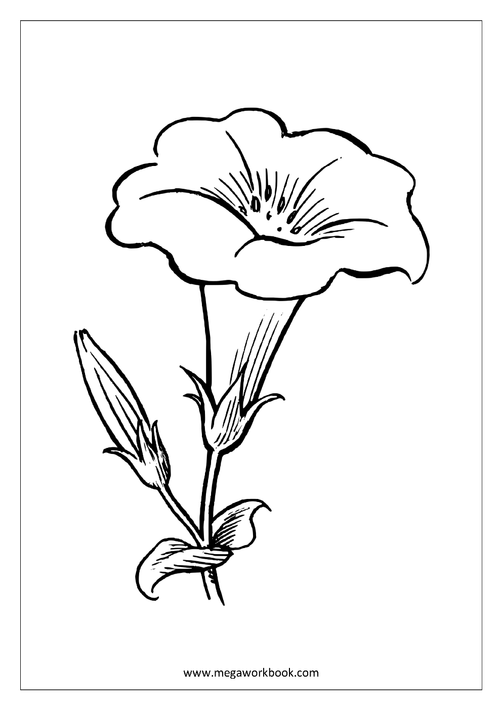 Flower Coloring Pages - Plant & Tree Coloring Pages - Leaf Coloring ...