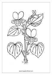 Coloring_Sheet_Flowers_1
