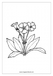 Coloring_Sheet_Flowers_2