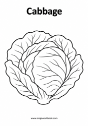 Cabbage vegetable coloring page