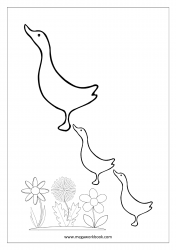 Sea Creatures Coloring Pages - Ducks Coloring Pages