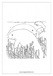 Sea Animals Coloring Pages - Under The Sea Coloring Pages