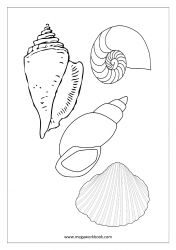 Sea Animals Coloring Pages - Sea Shells Coloring Pages