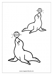 Sea Animals Coloring Pages - Seal Coloring Pages