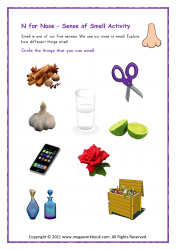 Letter_N_Worksheet_Critical_Thinking_Activity_N_For_Nose_Sense_Of_Smell_Preschool