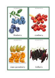 Fruits Flash Cards - Blueberry, Cranberry, Cape Gooseberry, Mulberry
