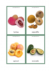 Fruits Flash Cards - Lychee, Sapodilla, Apricot, Avocado