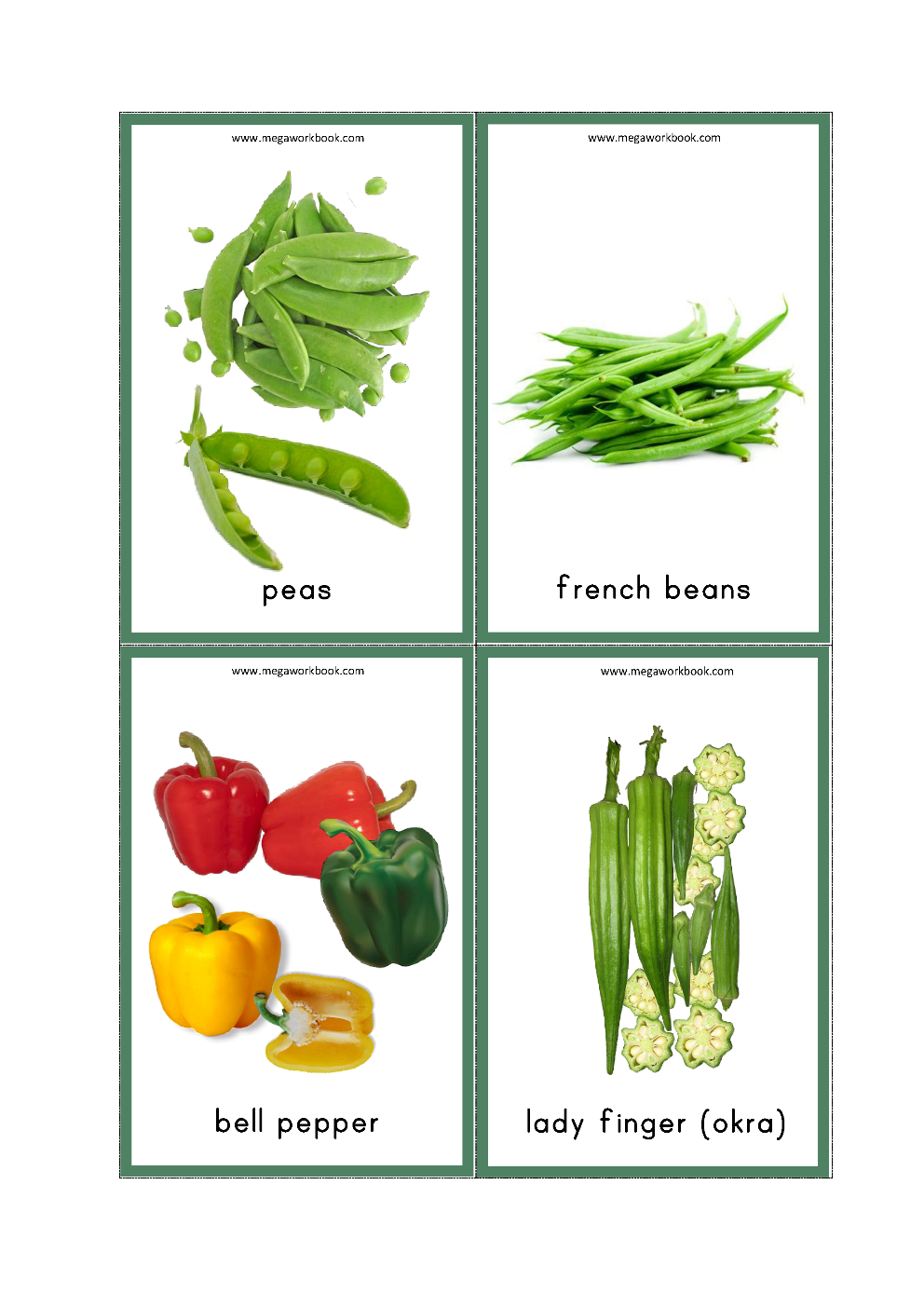 Vegetable Names