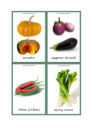 Vegetables Flash Cards - Pumpkin, Brinjal, Eggplant, Chilies, Chiles, Spring Onions
