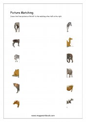 Picture Matching Worksheet - Match Picture To Other Half (Animal Themed)