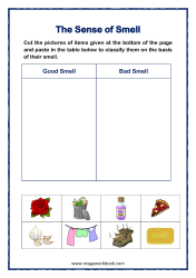 Five Senses Worksheets - Good Smell Bad Smell - Sense Organ Nose - For Preschool And Kindergarten