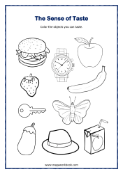 Sense of Taste Coloring Page - Five Senses Worksheet