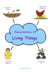 Characteristics Of Living And Non Living Things Worksheet - Part 4