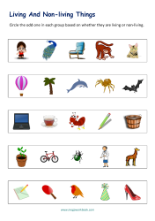 Odd One Out - Living And Non Living Things Worksheets
