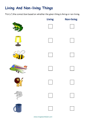 Classifying Living And Non Living Things Worksheet
