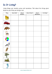 Characteristics Of Living And Non Living Things Worksheet