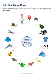 Identify Living And Non Living Things Worksheet