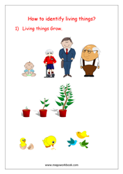 eBook-Living And Non-living Things