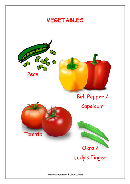 Vegetable Names (Vocabulary Book)