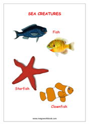 eBook-Name of Sea Creatures (with pictures)